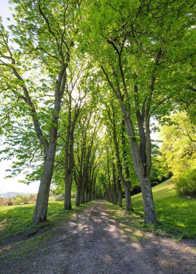Urlaub In Schlossnaehe Artstetten Kültér fotó